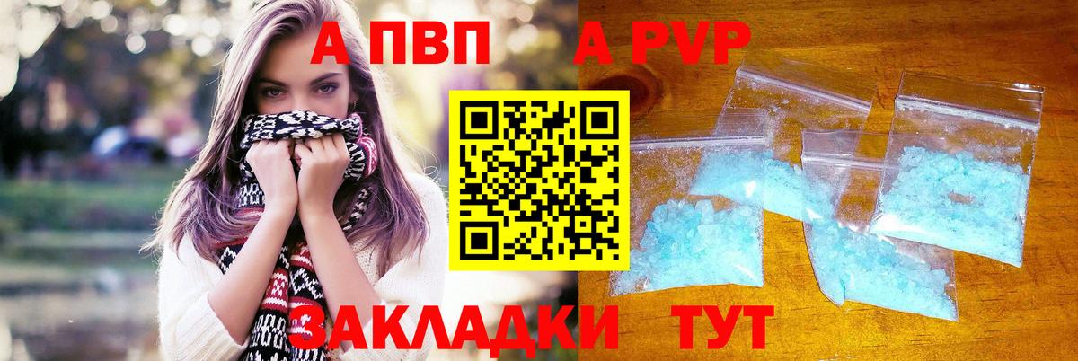 Альфа ПВП СК Сочи