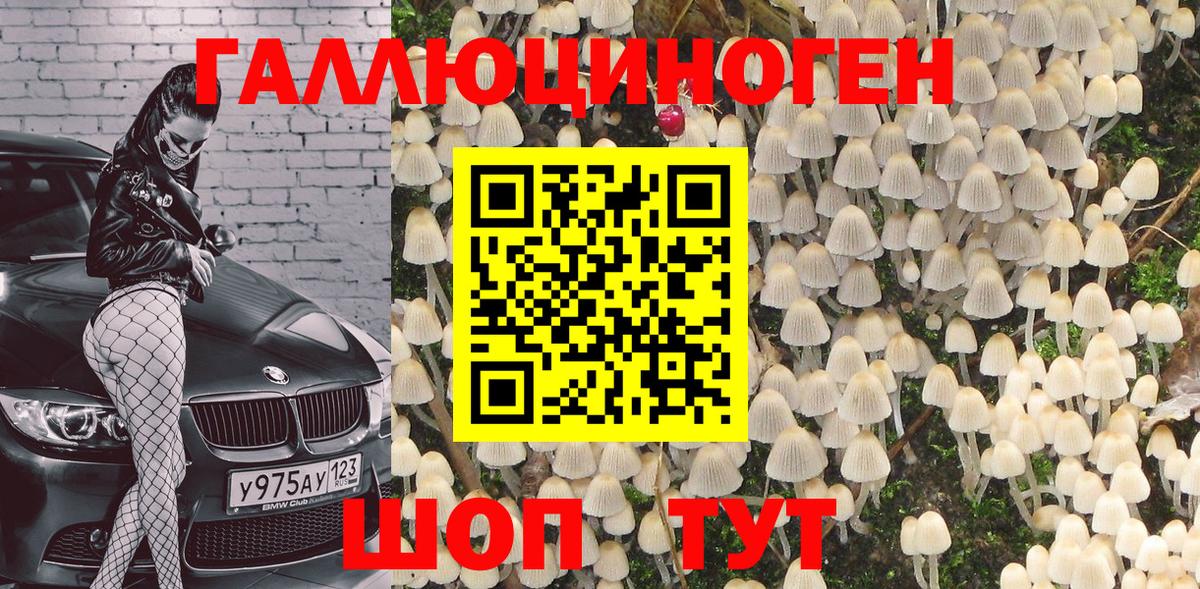 Псилоцибиновые грибы Psilocybe Сочи