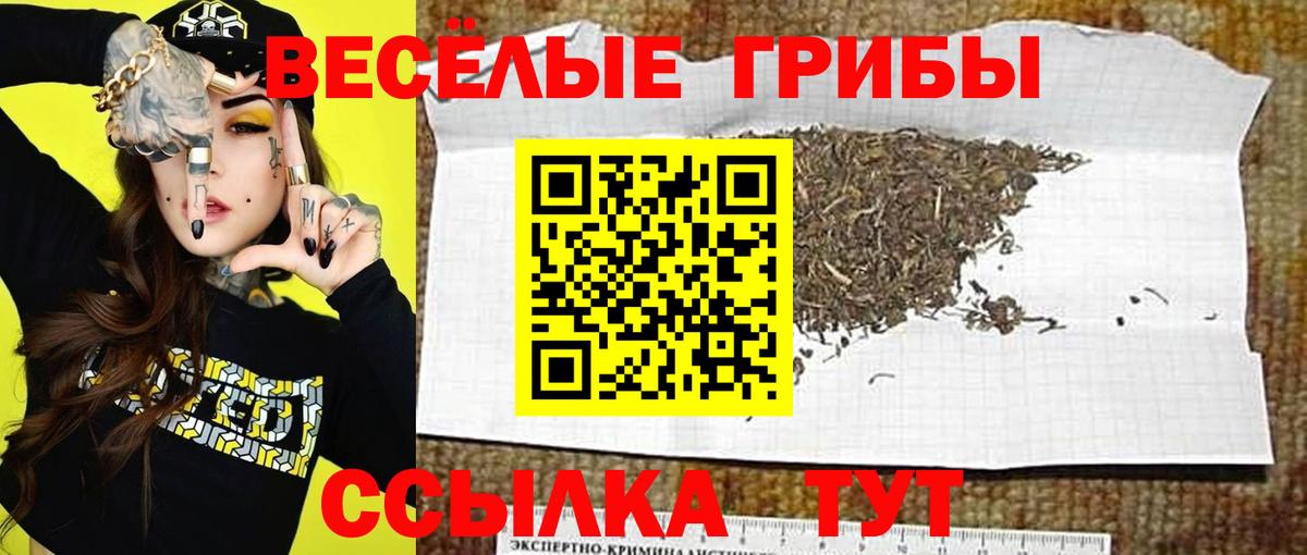 Псилоцибиновые грибы Cubensis  Вход с VPN  Сочи  Галлюциногенные грибы Psilocybine cubensis 
